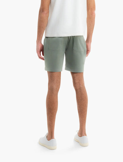 Seagrass
